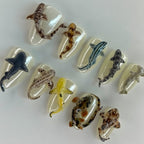 3D Shark Press On Nails Clear Jelly Ocean Animal Art Set